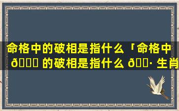 命格中的破相是指什么「命格中 💐 的破相是指什么 🕷 生肖」